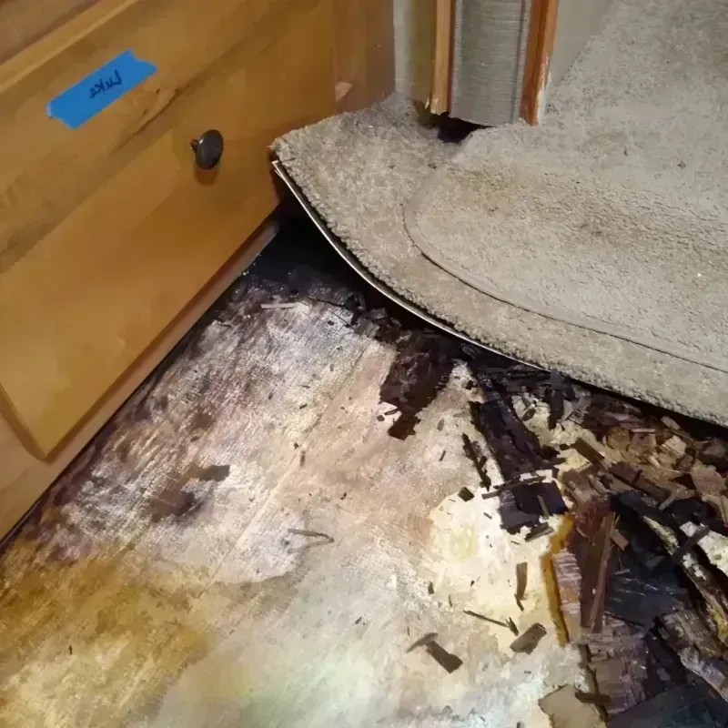 Best Wood Floor Water Damage Service in Texas City, TX